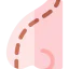 Nose icon 64x64