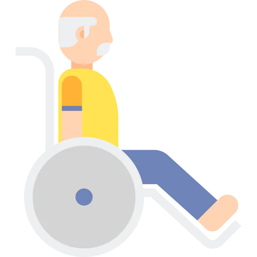 Disability icon