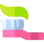 Tooth Brush icon 64x64
