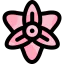 Gladiolus icon 64x64