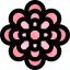 Chrysanthemum icon 64x64