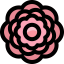 Peony icon 64x64