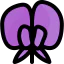 Flower icon 64x64