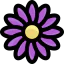 Daisies icon 64x64