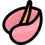 Anthurium icon 64x64