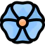 Crocus icon 64x64