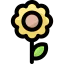 Sunflower icon 64x64
