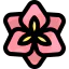 Amaryllis icon 64x64