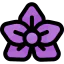 Flower アイコン 64x64