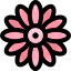 Gerbera アイコン 64x64