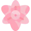 Gladiolus icon 64x64