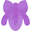 Flower icon 64x64
