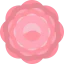 Peony icon 64x64