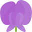 Flower icon 64x64