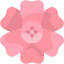 Magnolia icon 64x64