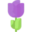 Tulips icon 64x64
