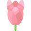 Protea icon 64x64