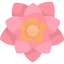 Poinsettia icon 64x64