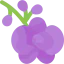 Orchid icon 64x64