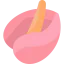 Anthurium icon 64x64
