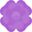 Anemone icon 64x64