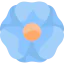 Crocus icon 64x64