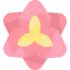 Amaryllis icon 64x64