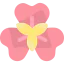 Alstroemeria icon 64x64