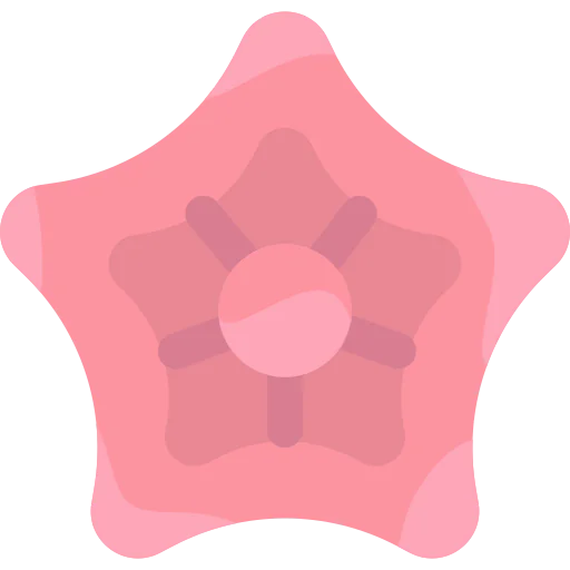 Cypress icon