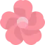 Hibiscus icon 64x64