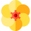Flower icon 64x64