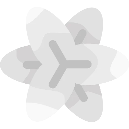 Lily 图标