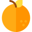 Orange icon 64x64