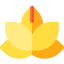 Flower icon 64x64