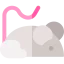 Rat 图标 64x64