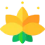 Lotus icon 64x64