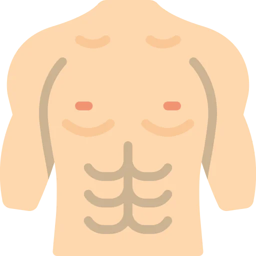 Torso icon