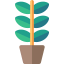 Plant アイコン 64x64