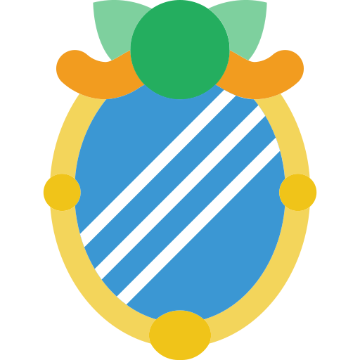 Mirror icon