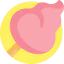 Cotton candy icon 64x64