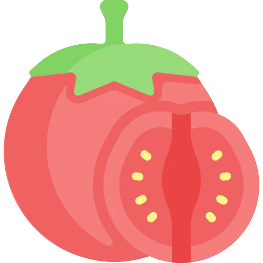 Tomato icon