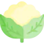 Cauliflower icon 64x64