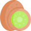 Kiwi 상 64x64
