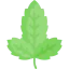 Basil 상 64x64