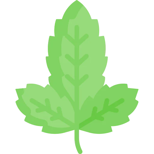Basil アイコン
