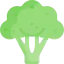 Broccoli 상 64x64