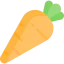Carrot 상 64x64