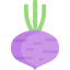 Beet 상 64x64