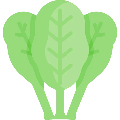 Spinach アイコン