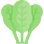 Spinach 상 64x64